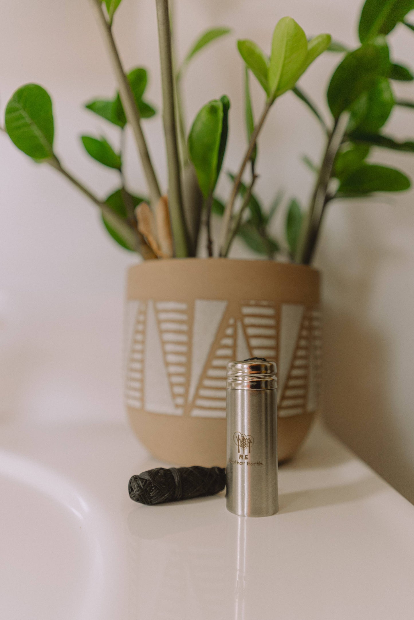 Vegan Biodegradable Charcoal Dental Floss - Rainbow Stainless Steel