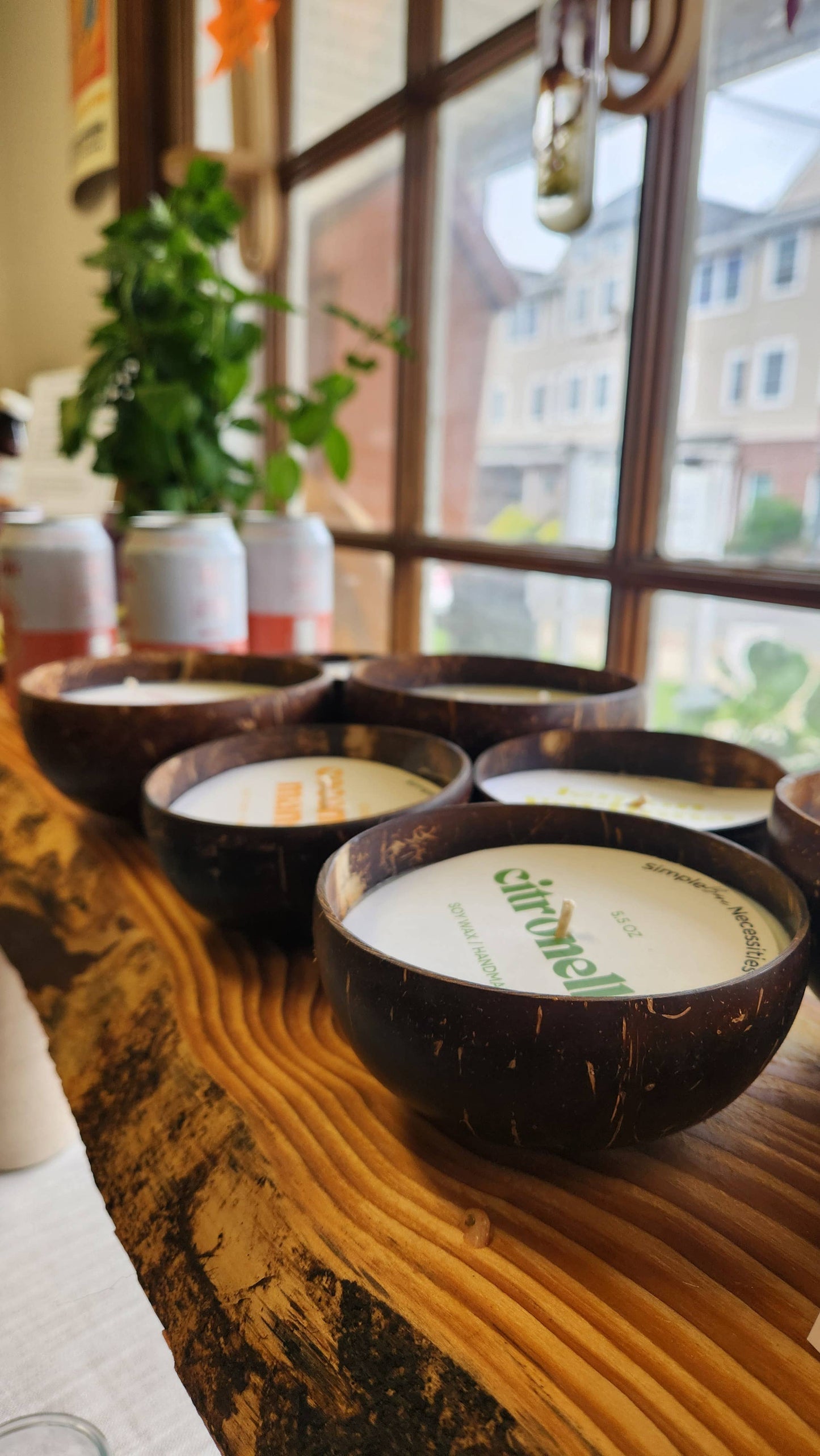 Simple Bare Necessities - Coconut Candles | Summer Collection