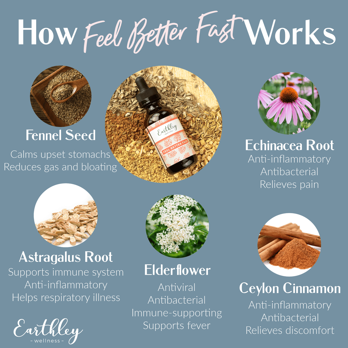 Earthley - Feel Better Fast