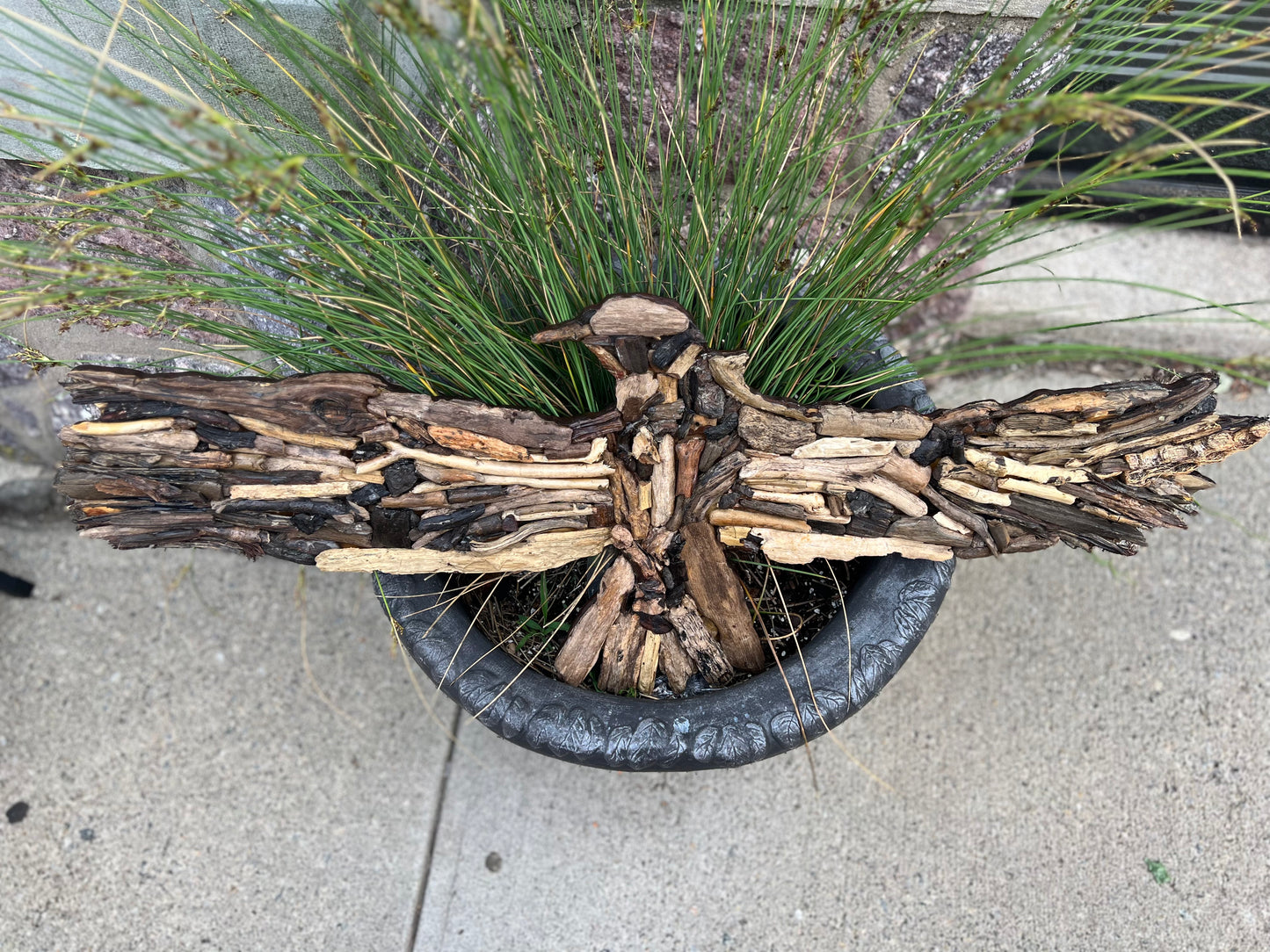 Driftwood Eagle