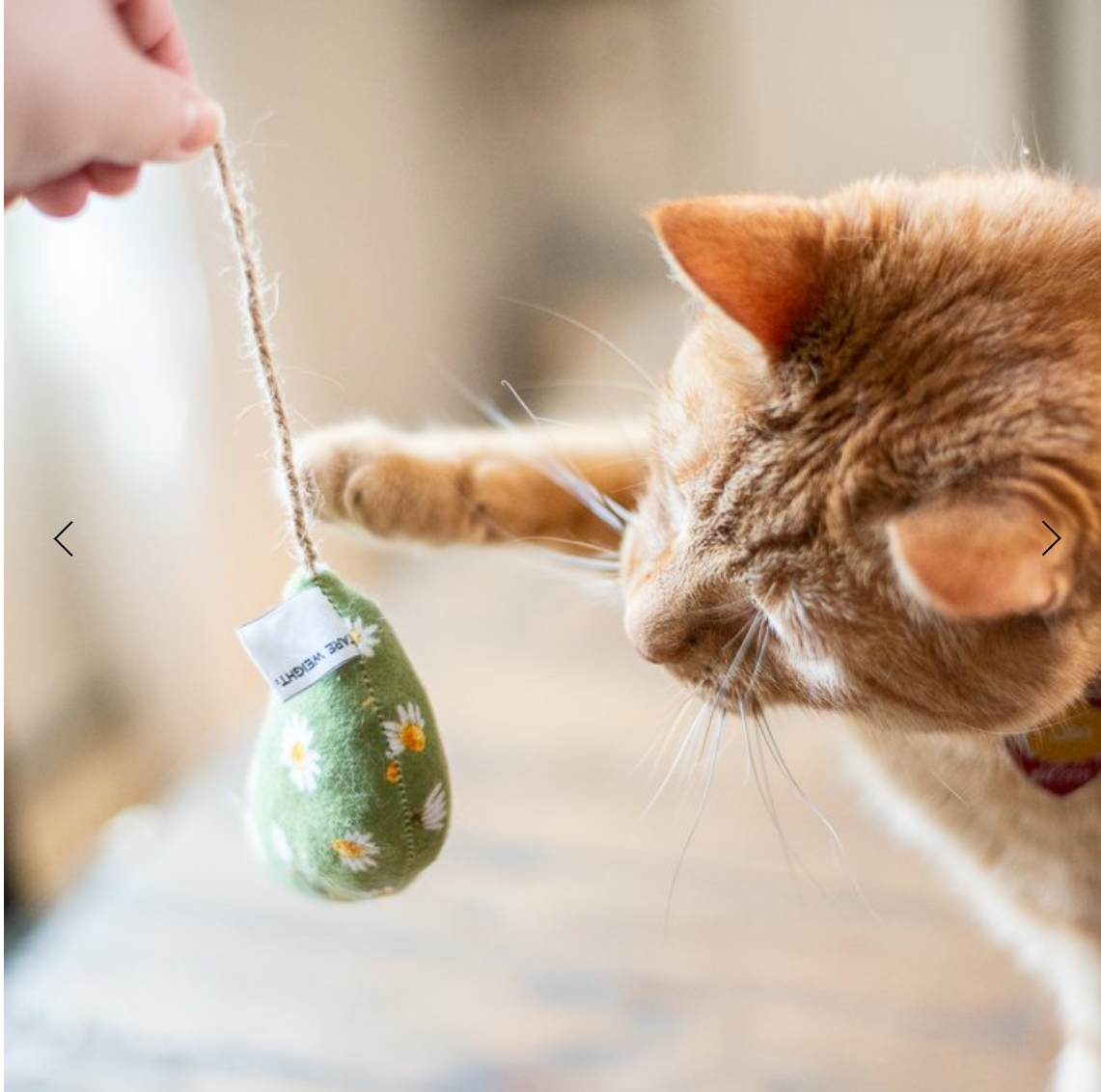 Planet B - Cat Toy