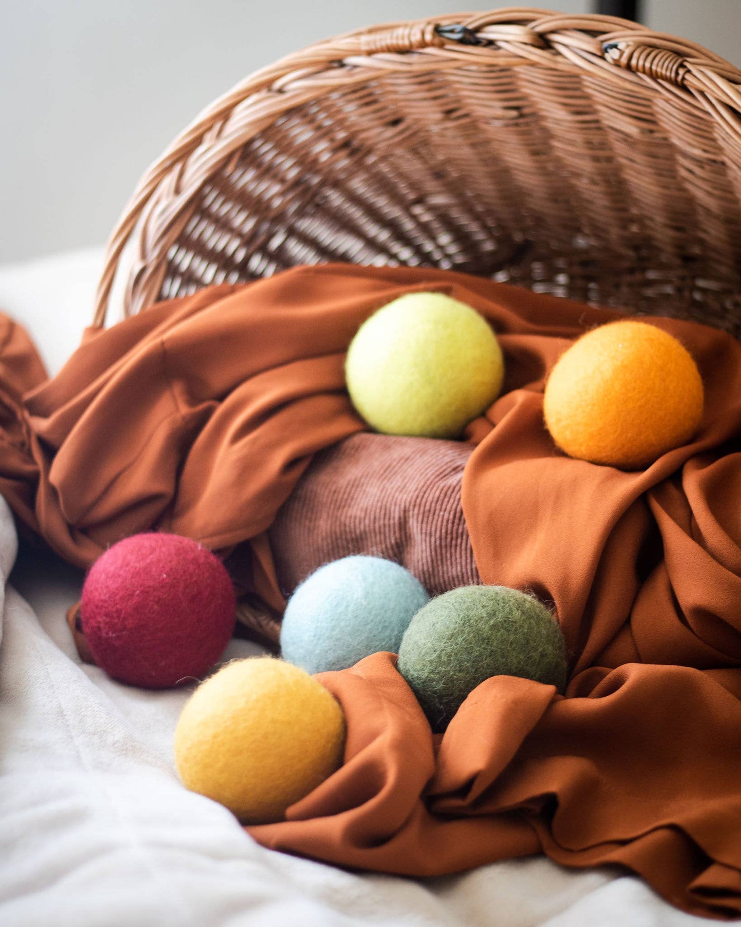 Friendsheep - Single Eco Dryer Balls