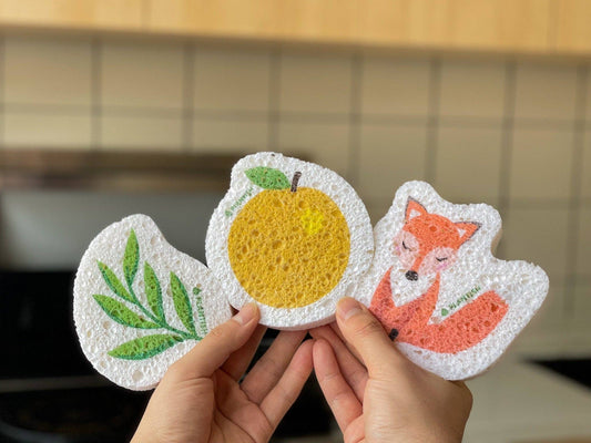 Plantish Pop up Sponge