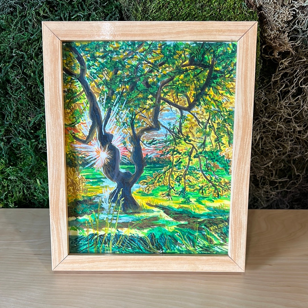 Local Paintings by Van Enterprises