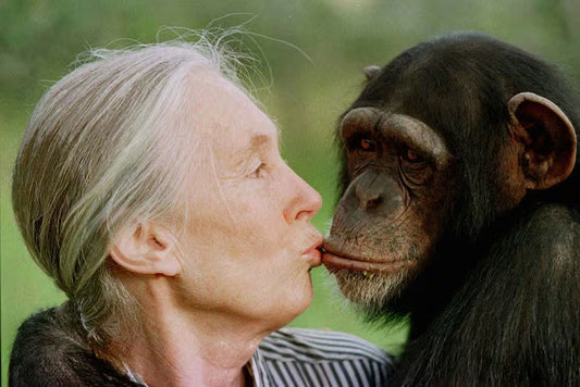 Jane Goodall Gave Hope Among Crisis