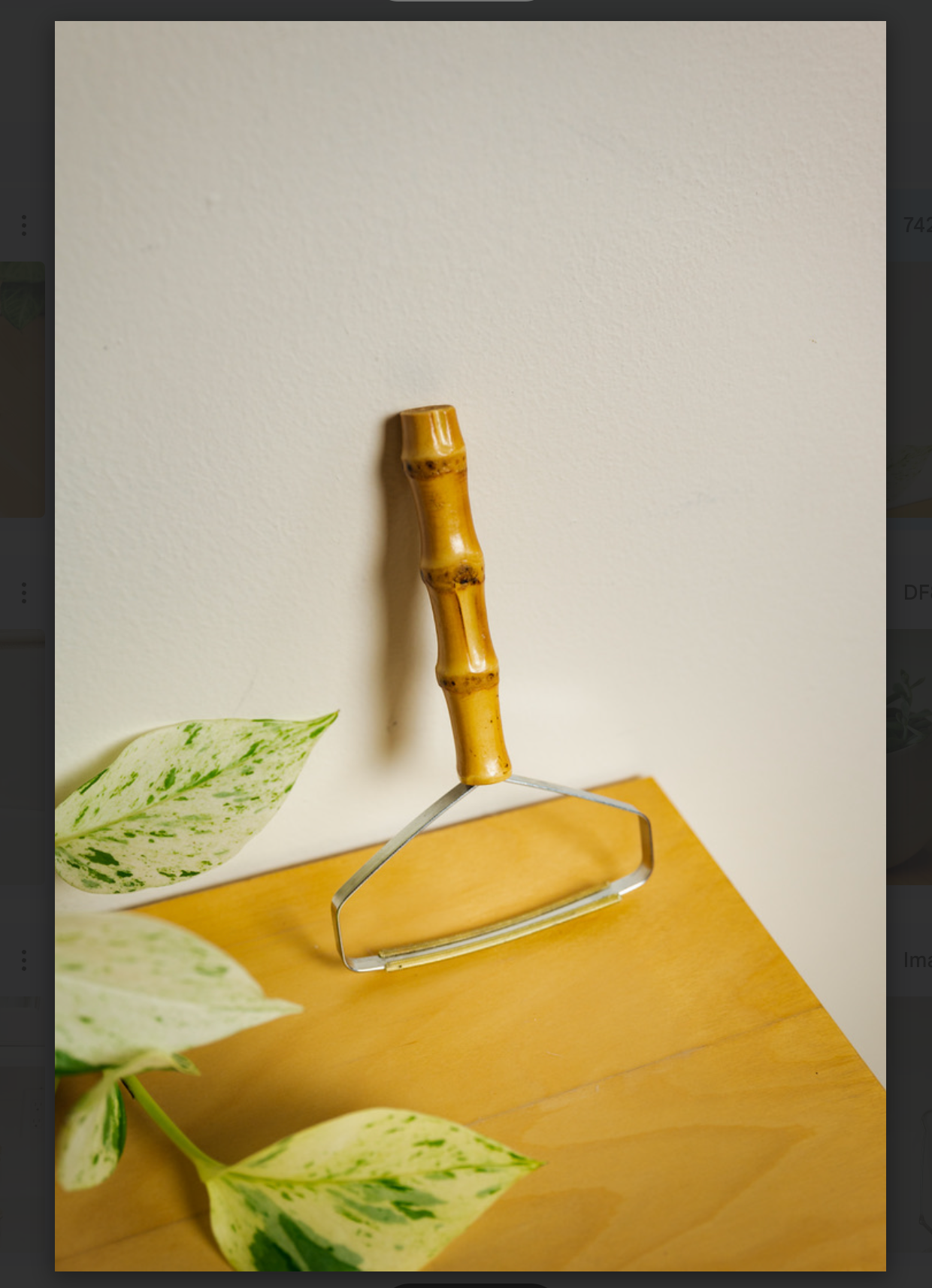 Bamboo Switch - Bamboo Lint Remover