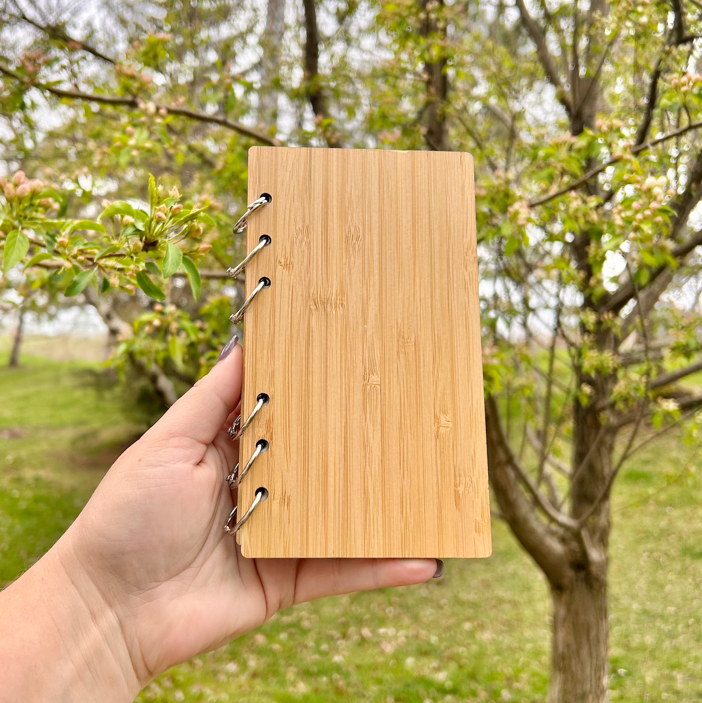 Bamboo Switch - Bamboo Ringed Notebook