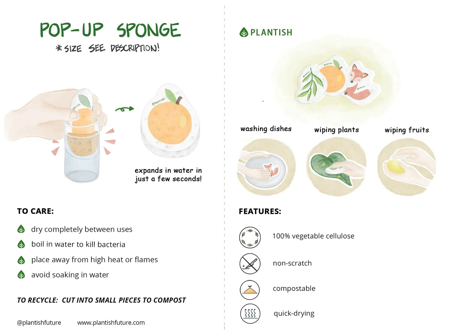 Plantish Pop up Sponge