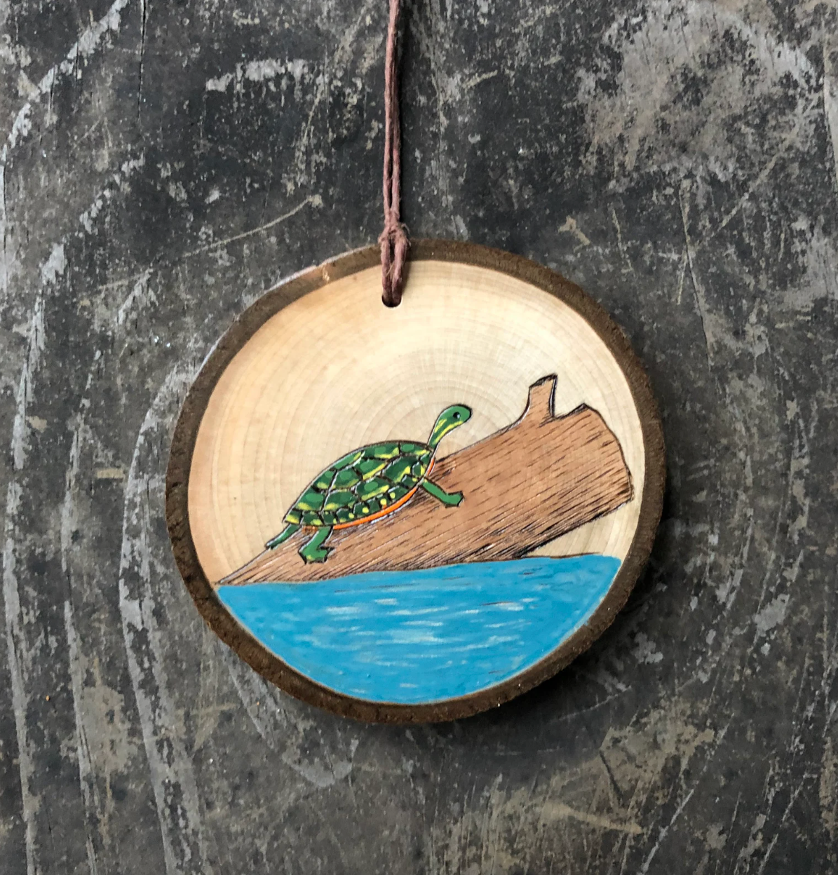 Forage Workshop - Painted Turtle