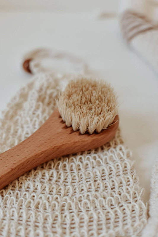 Zefiro - Dry Face Brush