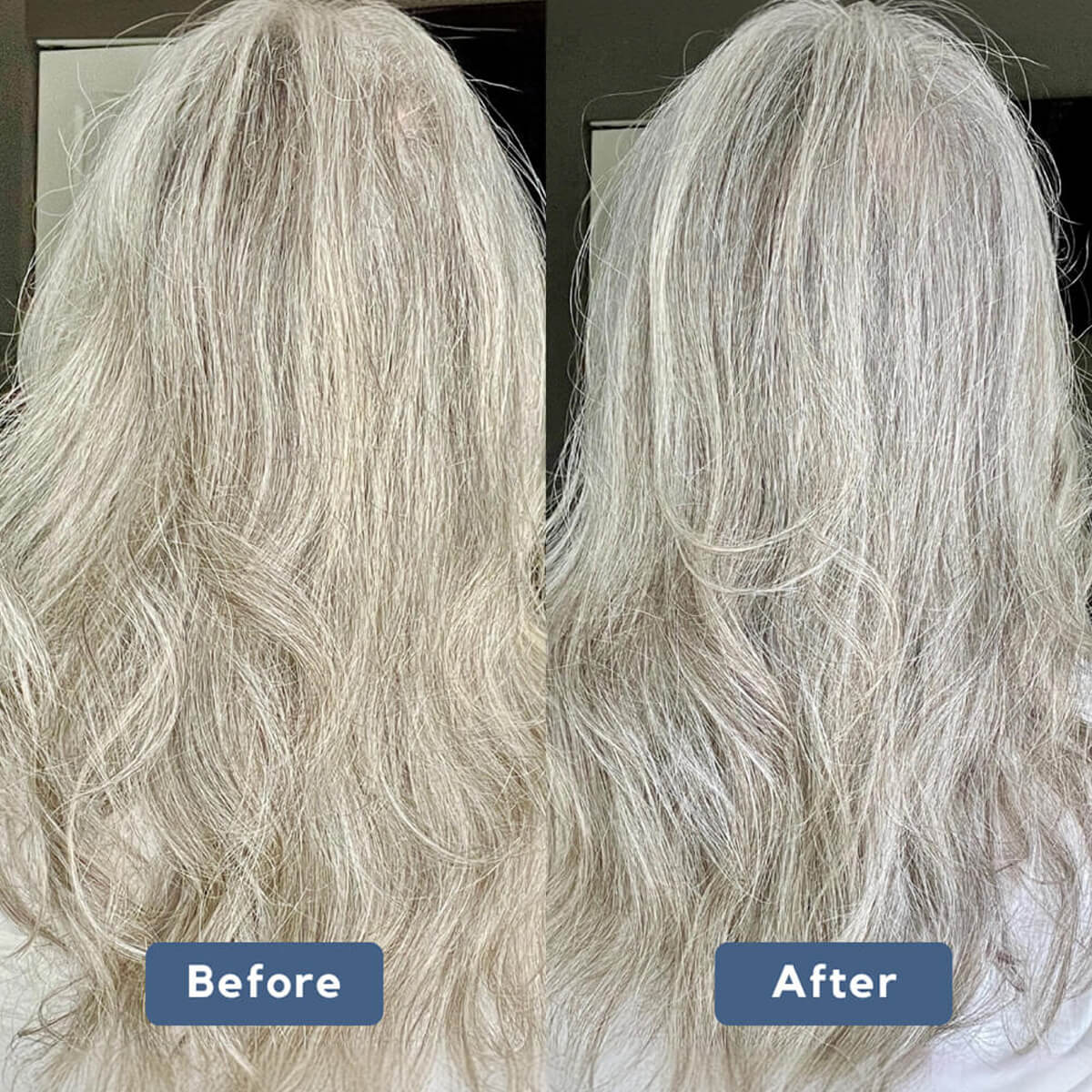 Plaine Products - 10 oz  Purple Shampoo (pump not included) 